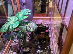 -樱之味精致料理融合餐厅