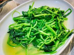 -老绍兴养和饭店(向阳不夜城店)