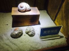 -南昌海洋公园