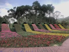 -广州市石门国家森林公园