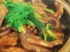 鹅掌鱼头煲-苏记餐厅(叠南店)