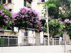 -星海音乐学院(沙河校区)