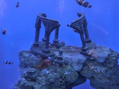 -海合安武汉极地海洋公园