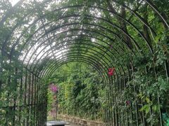 -铁山坪森林公园