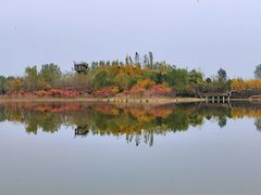 -东郊湿地公园
