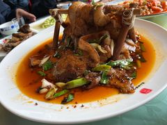 -代木儿回锅肉
