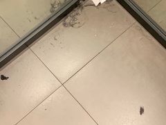 -ZARA(沈阳大悦城店)