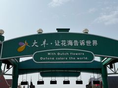-荷兰花海
