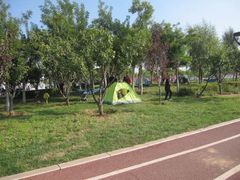 -丁香湖公园