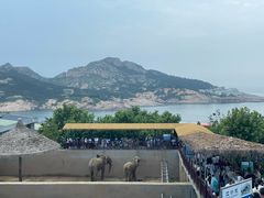 -西霞口神雕山野生动物世界