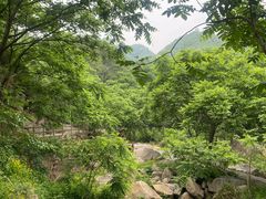 -大岭沟猕猴桃谷风景区