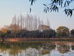 -黄兴公园