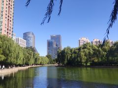 -团结湖公园