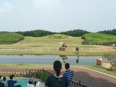 -迪茵湖田家舍生态农场