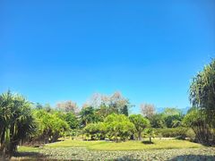 -中国科学院西双版纳热带植物园
