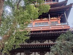 -浙江省博物馆(孤山馆区)