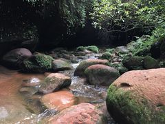 -赤水丹霞旅游区·佛光岩