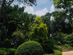 -油麻地果栏