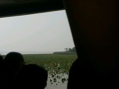 -微山湖红荷湿地景区