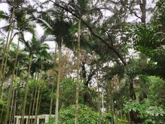 -北海市海滨公园