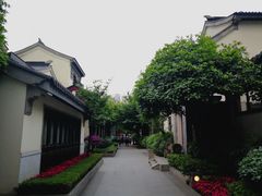-松云泽