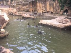-燕塞湖鸟语林景区