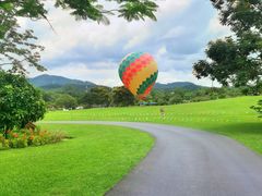 -中国科学院西双版纳热带植物园