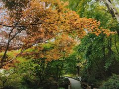 -杭州植物园