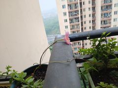 -龙湖重庆时代天街