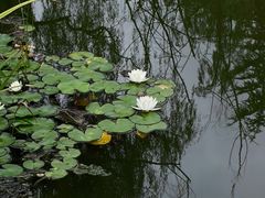 -木塔寺遗址生态公园
