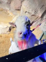 -酷嗒动物文化乐园(cutezoo西溪乐天城店)