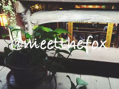 -普洱茶府(博乐广场店)
