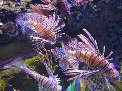 -太平洋海底世界