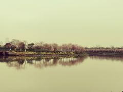-海珠湖公园
