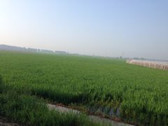 欢乐农家采摘园-欢乐农家采摘园