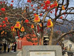 -潭柘寺景区