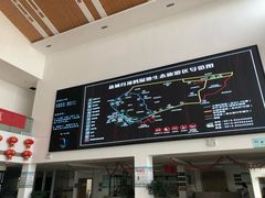 -盐城丹顶鹤湿地生态旅游区
