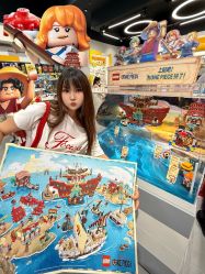 -乐高品牌旗舰店(人民广场店)