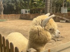 -呀路古热带植物园