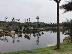 -枫香湖儿童公园