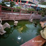 鹅公村圆洲总店