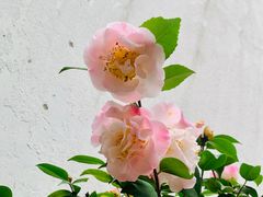 -钱钟书故居