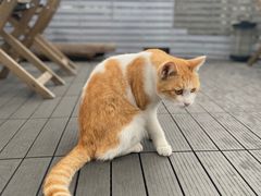 -前叁門