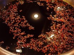 -朱氏胖子烂火锅(洪崖洞店)