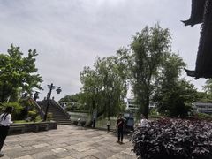 -鲁镇