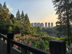 -重庆彩云湖湿地公园