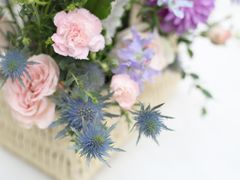 -花到家(富贵鸟花艺行)