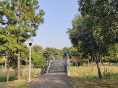 -尚贤河湿地