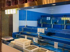 -朱记乳鸽王·非遗石岐乳鸽·全鸽宴(大兴旗舰店)