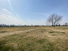 -汉长安城未央宫国家考古遗址公园